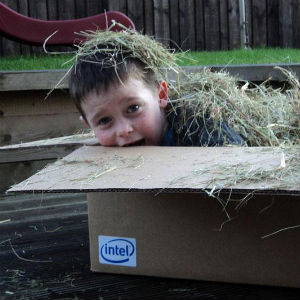 When Jack had completed all 536 of his drawings, he went into a cardboard box to hibernate